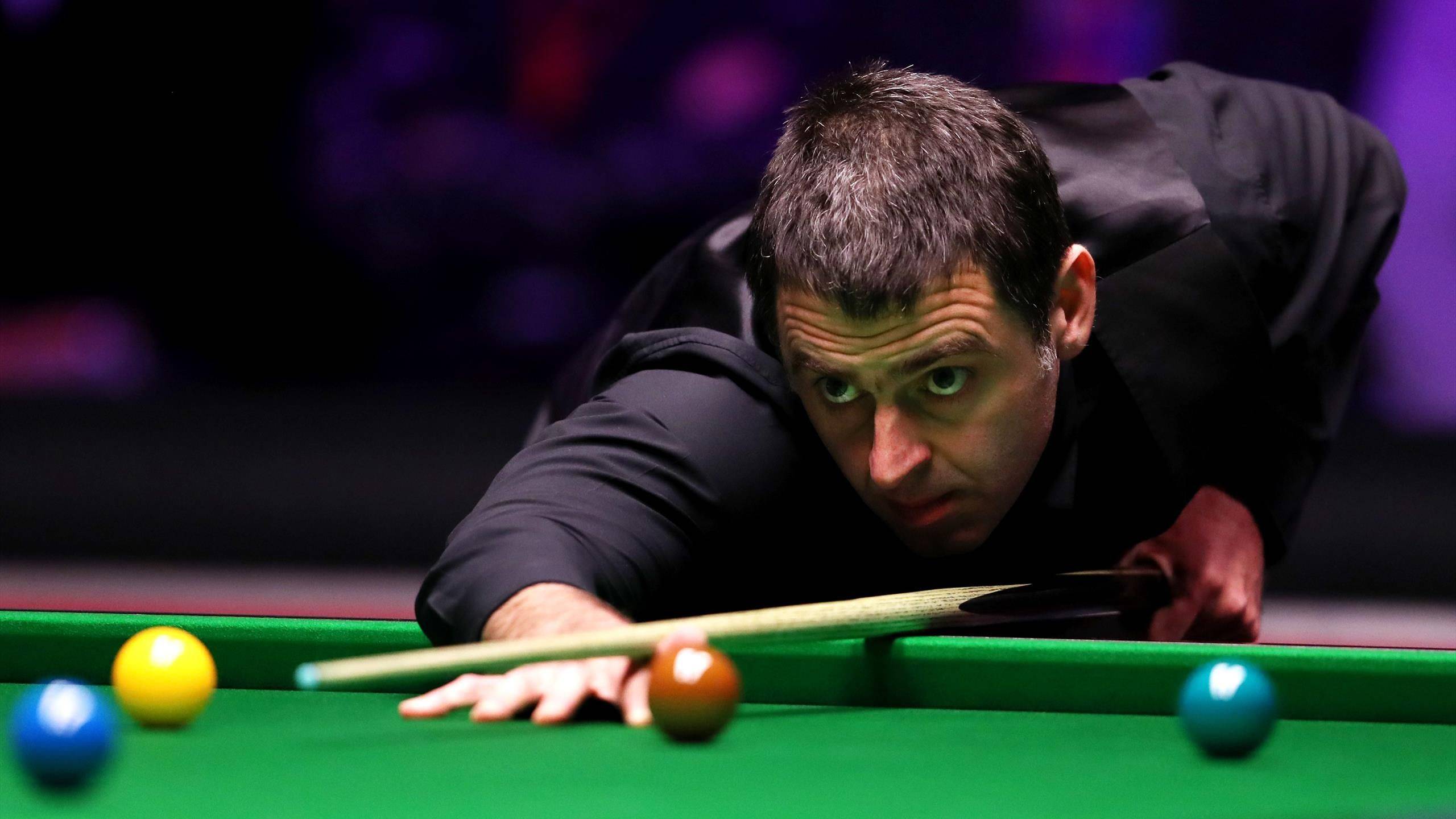 是每日的新 是每日的新