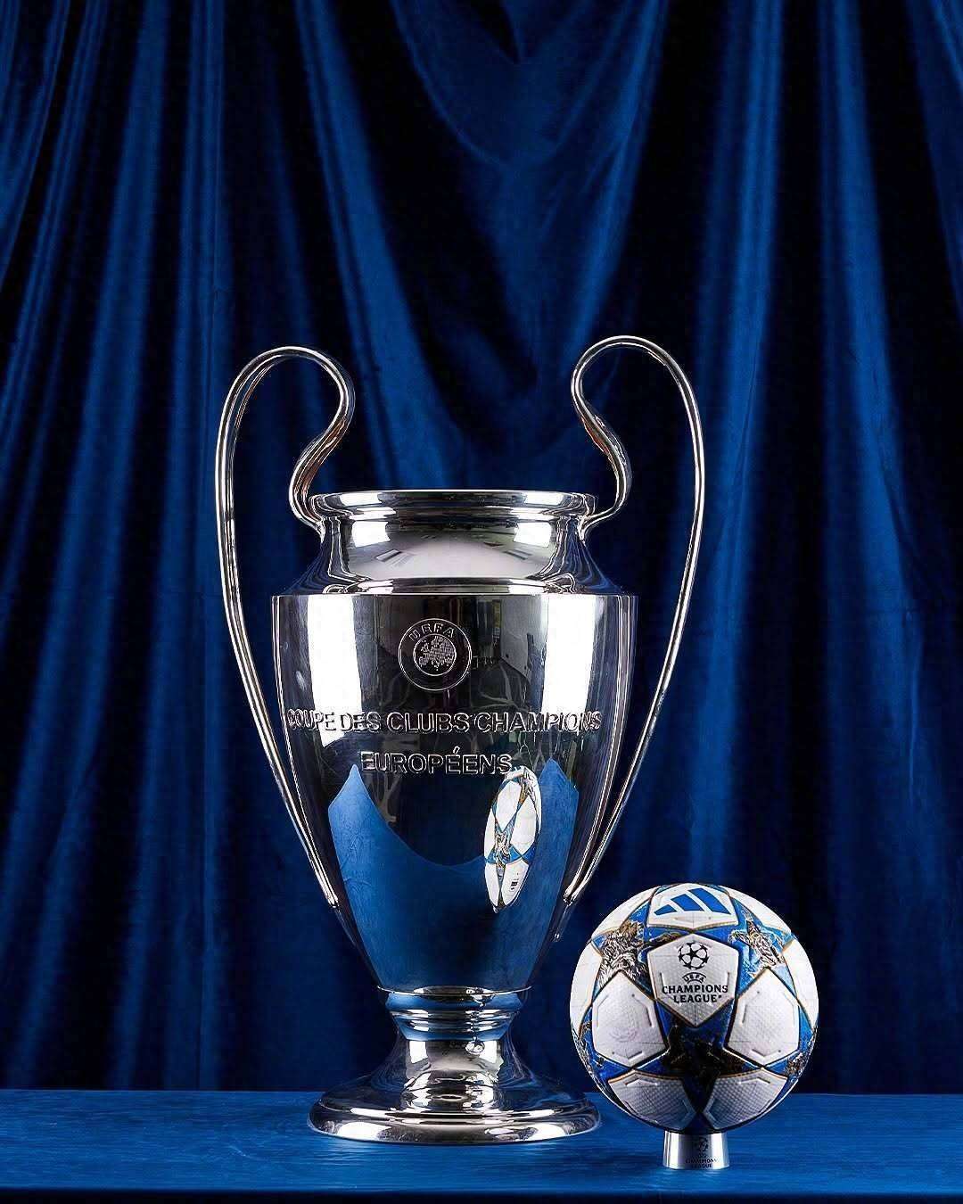 图多尔的标 图多尔的标