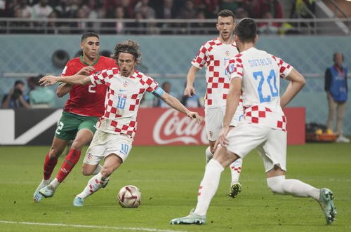 球比例与安 球比例与安